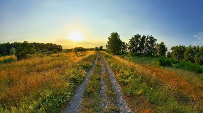 Dirt road through a field at sunset