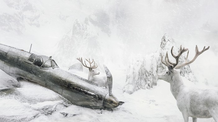White deer near a crashed airplane in a snowy mountain landscape