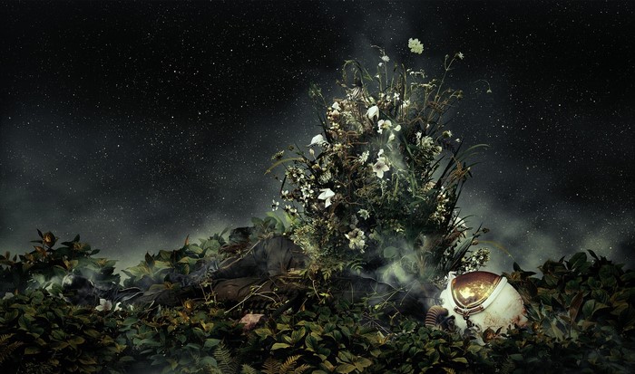 Astronaut helmet and flowers under stars
