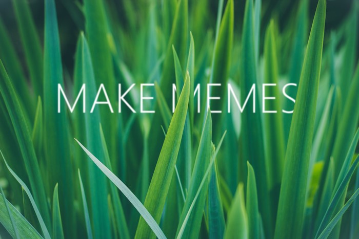 MAKE MEMES text on green grass