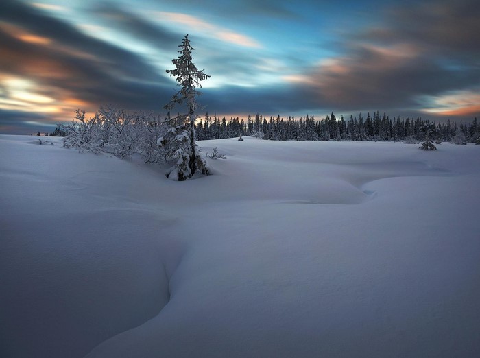 Winter sunset landscape with snow and trees in Norway