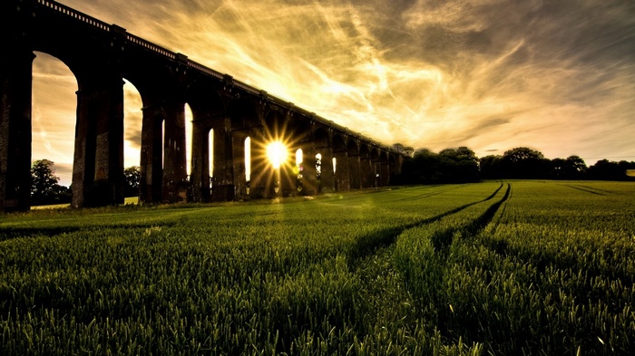Sunlight shines through a viaduct over a field