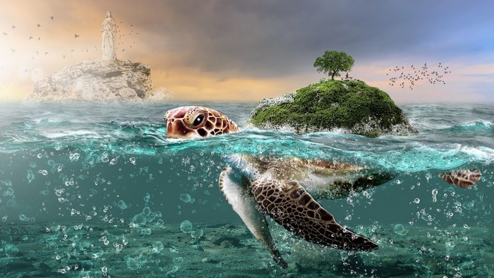 Giant turtle swimming in the ocean with islands