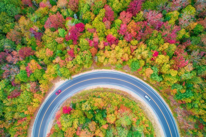 Aerial view of a winding road through colorful fall trees