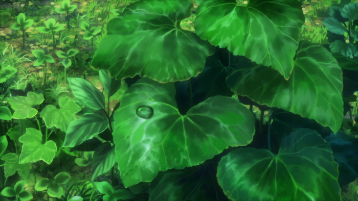 Green leaves with a water droplet