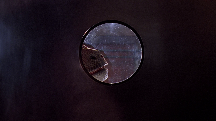 Velociraptor head peeking through a round opening