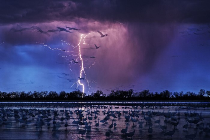 Birds flying during a lightning storm over water