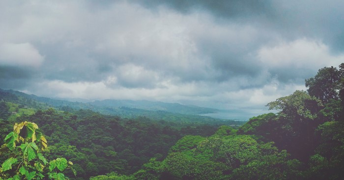 Overcast sky over a dense forest and distant water