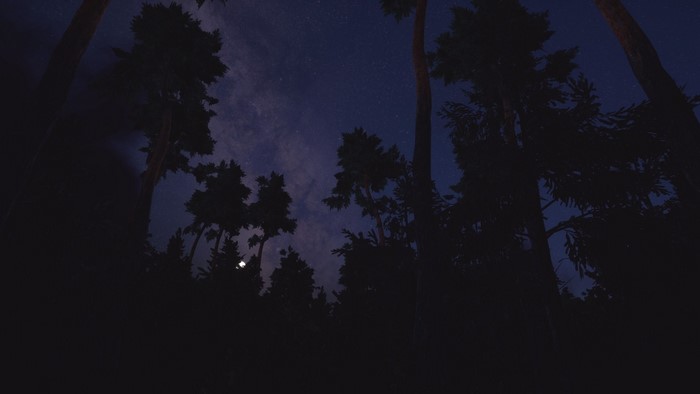 Night sky with stars and Milky Way over a forest