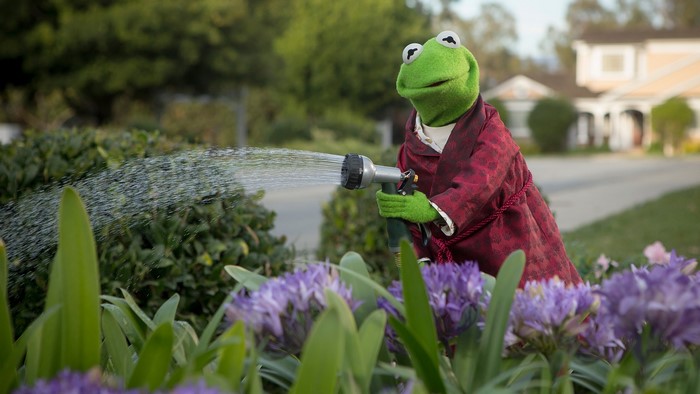 Kermit the Frog watering flowers