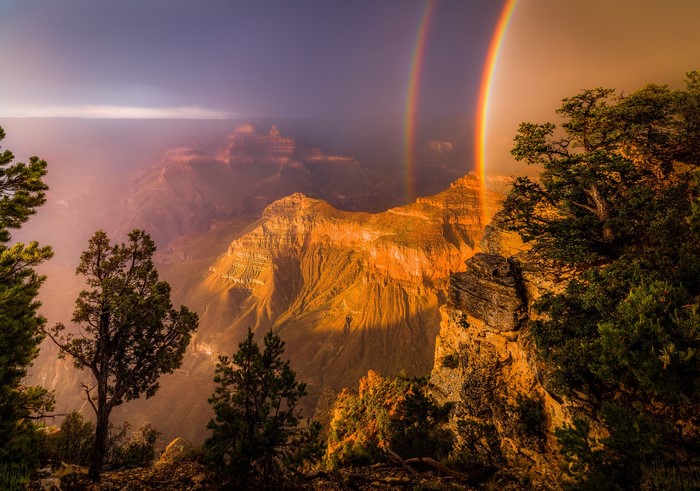Grand Canyon with Double Rainbow and Trees