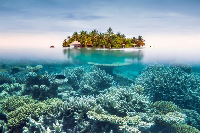 Tropical island with overwater bungalows and coral reef