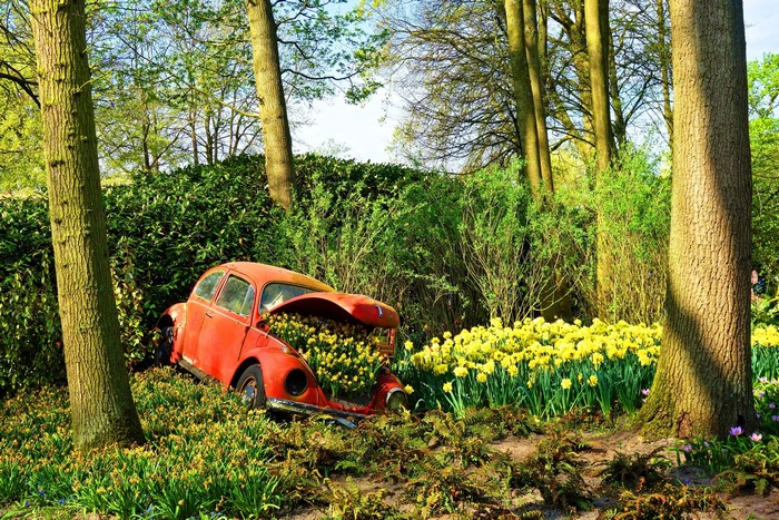 4K red Volkswagen Beetle wreck with flowers