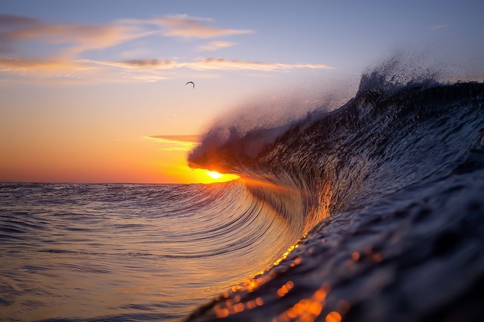 Wave crashing at sunrise with a seagull