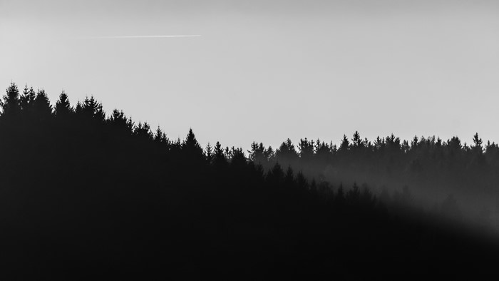 Dark forest landscape with airplane contrail