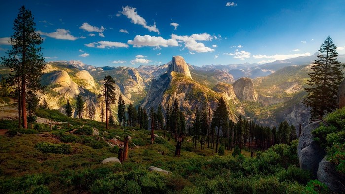 Yosemite National Park landscape with Half Dome and trees