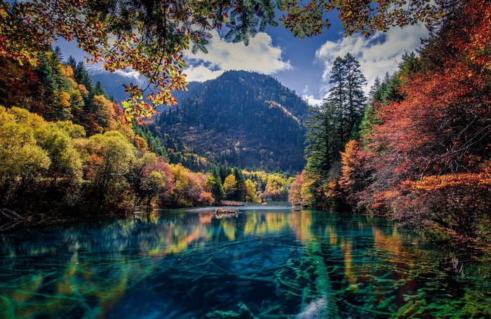 Autumn lake with colorful trees and mountains