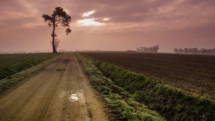 Dirt road through fields under a cloudy sky