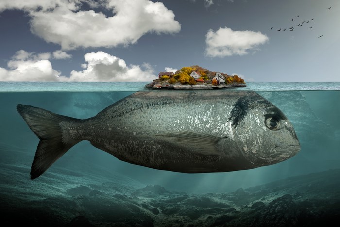 Surreal island on a giant fish underwater