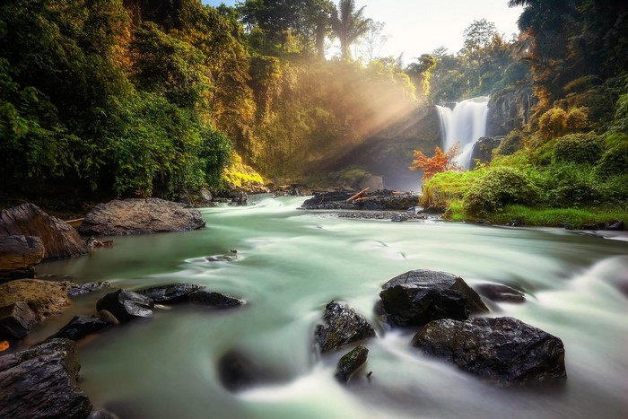 Long exposure of a river flowing towards a waterfall in a forest