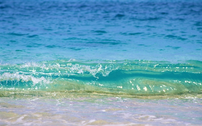 Ocean wave breaking on a sandy beach