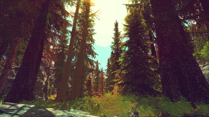The Elder Scrolls V: Skyrim forest scene