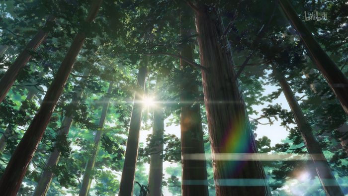 Forest with sunbeams