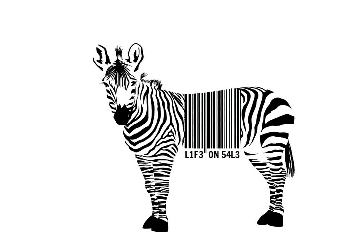Zebra with barcode on its body