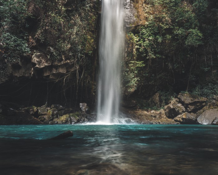 Waterfall in a lush forest