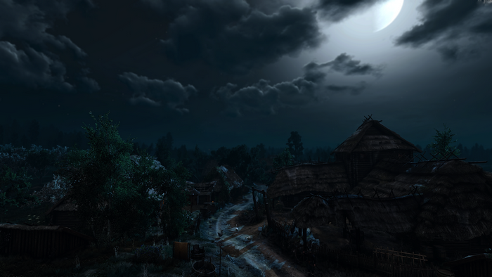 The Witcher 3: Wild Hunt village at night