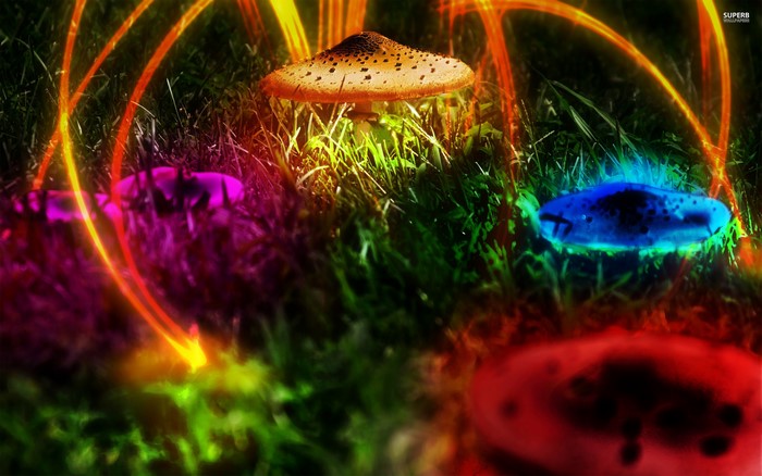 Psychedelic mushrooms with colorful glowing rings