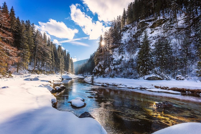 Winter river flowing through a snow-covered forest landscape