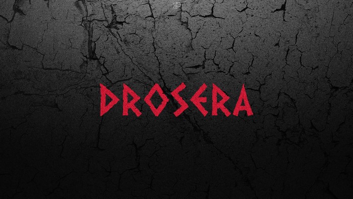 Drosera typography on a cracked black background