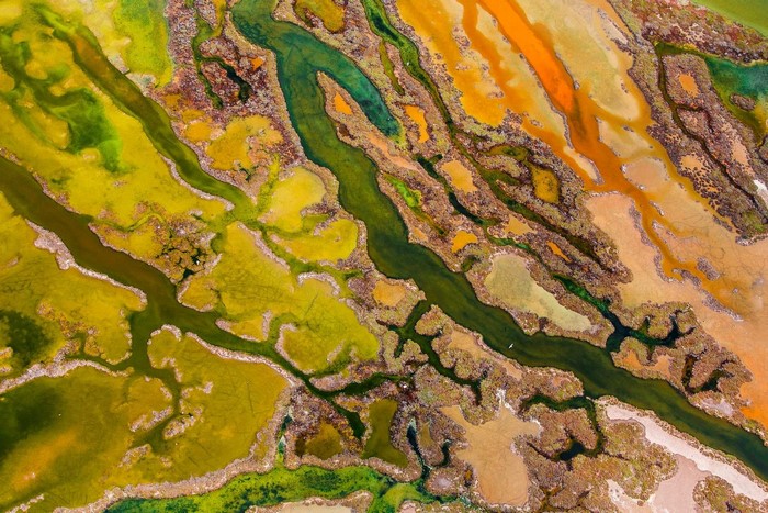 Aerial view of colorful wetlands in Andalusia, Spain