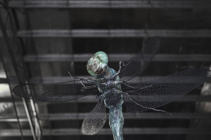 Copper dragonfly sculpture with large eyes and wings