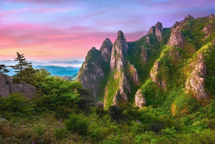 Jagged mountains covered in green trees under a pink and blue sky