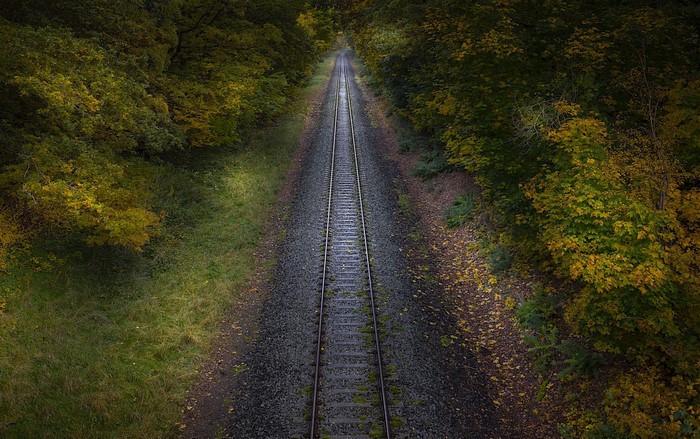 Railway tracks through a forest in autumn