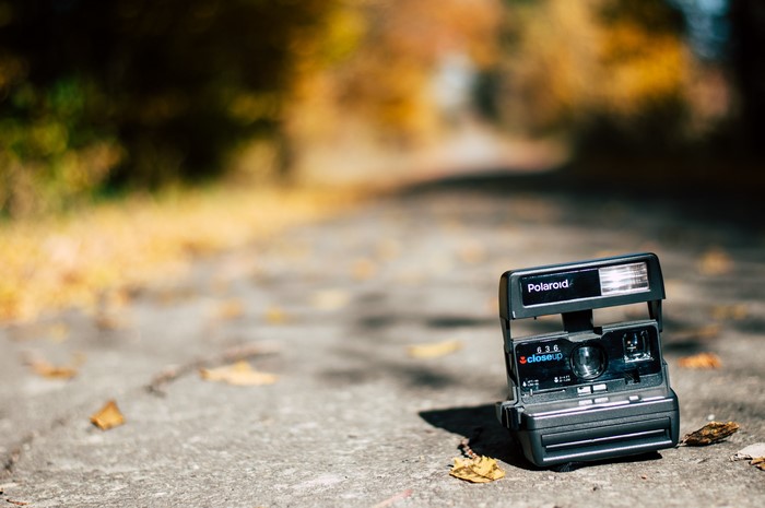 Polaroid camera on a road with autumn leaves