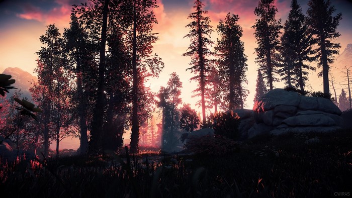 Horizon Zero Dawn forest sunset game art