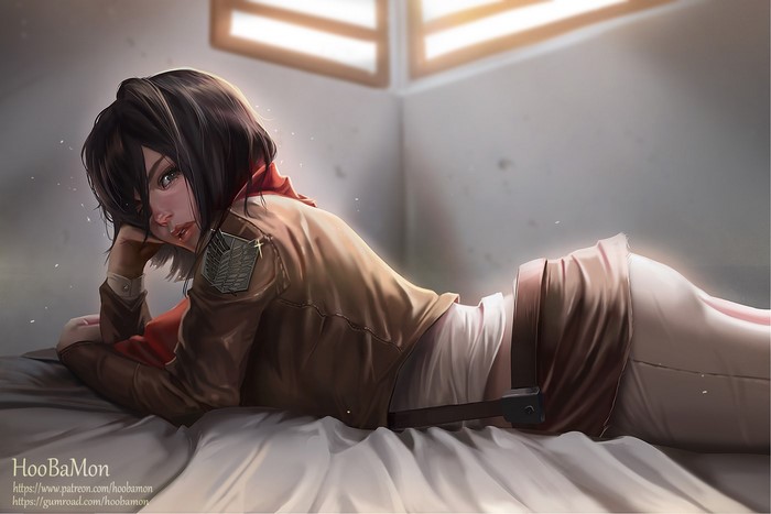 Mikasa Ackerman in Shingeki no Kyojin Art