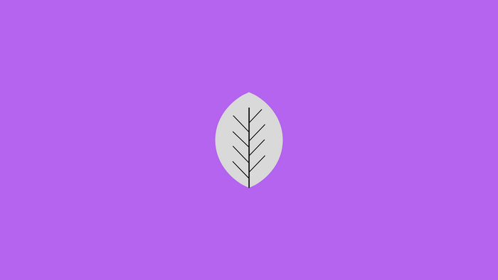 Minimalist leaf illustration on purple background