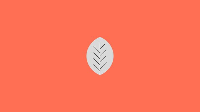 Minimalist leaf on orange background