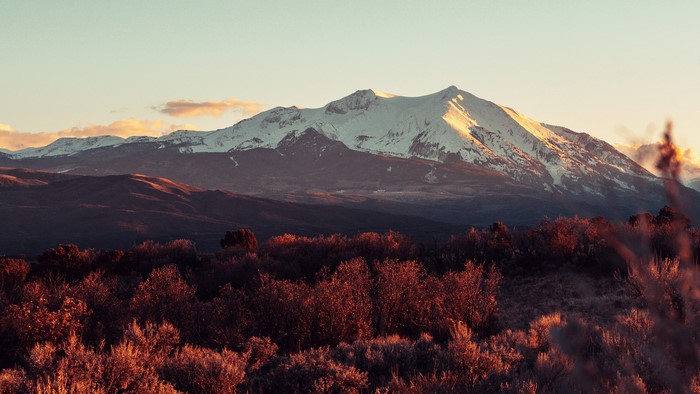 Snow-capped mountains at sunset with foreground trees