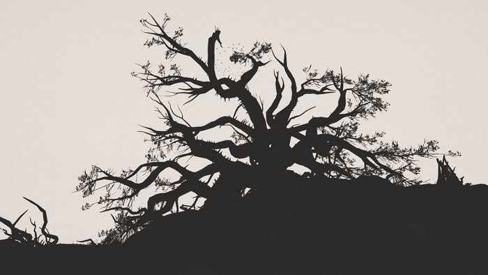 The Witcher 3: Wild Hunt monochrome tree silhouette