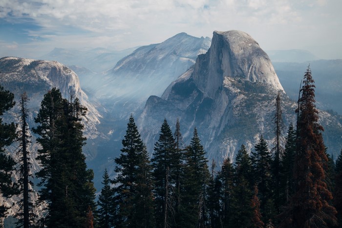 Yosemite National Park with Half Dome and pine trees