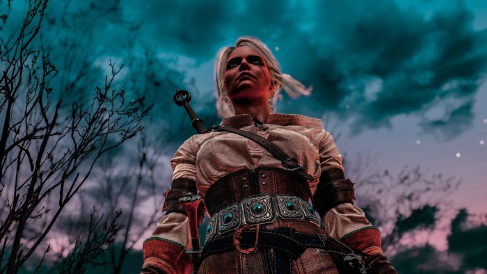 Ciri from The Witcher 3: Wild Hunt