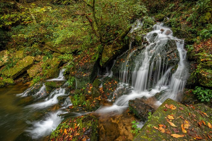 Waterfall in a forest during fall