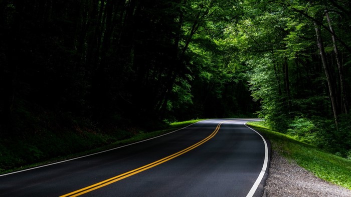 Winding road through a dense green forest
