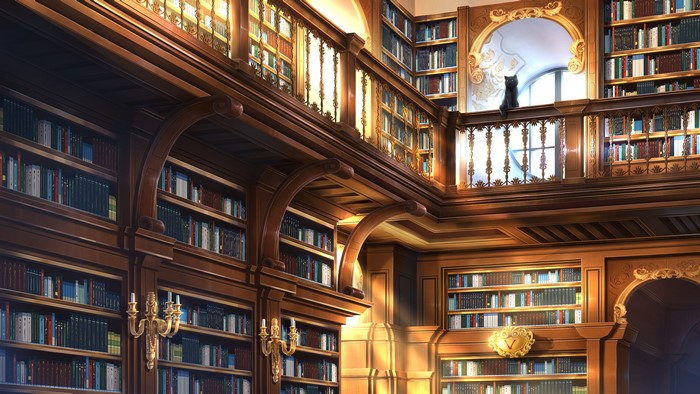 Anime library with a black cat and sun rays