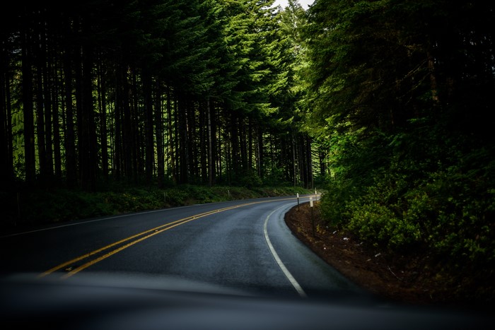 Curved road through a forest in Oregon